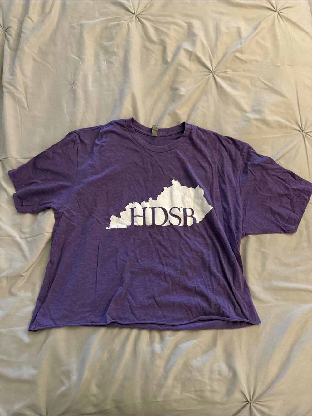 Next Level Apparel Purple Crop Top with White Graphic